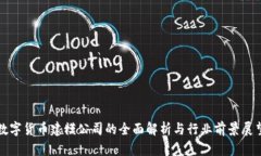 数字货币建模公司的全面