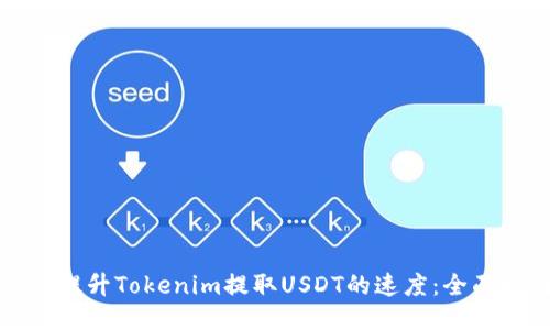 如何提升Tokenim提取USDT的速度：全面指南
