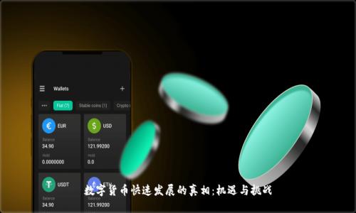 数字货币快速发展的真相：机遇与挑战