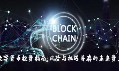 数字货币投资指南：风险