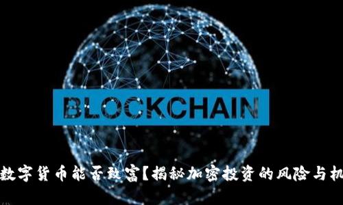 买数字货币能否致富？揭秘加密投资的风险与机会