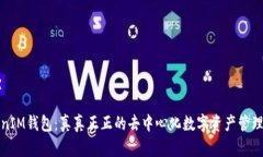 TokenIM钱包：真真正正的去