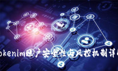 Tokenim账户安全性与风控机制详解
