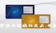 中国数字货币领域的巨头