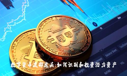 数字货币底部龙头：如何识别和投资潜力资产