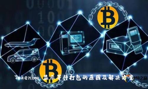 Tokenim 显示等待打包的原因及解决方案