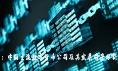 : 中国主流数字货币公司及