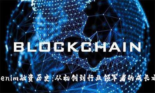 Tokenim融资历史：从初创到行业领军者的成长之路