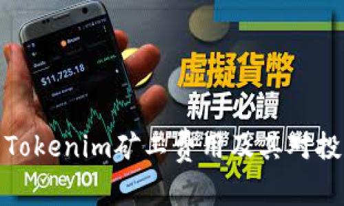全方位解析Tokenim矿工费用及其对投资者的影响