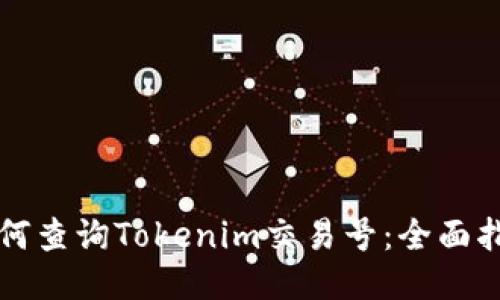 如何查询Tokenim交易号：全面指南