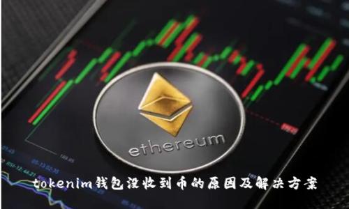 tokenim钱包没收到币的原因及解决方案