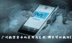 广州数字货币的使用与支