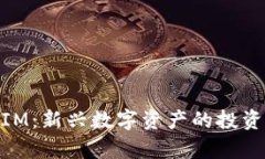 星河互娱TokenIM：新兴数字