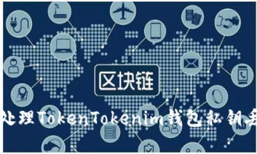 如何有效处理TokenTokenim钱包私钥丢失的问题