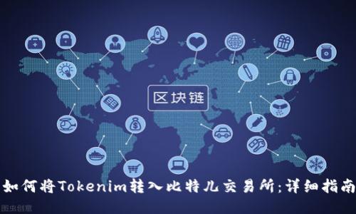 如何将Tokenim转入比特儿交易所：详细指南