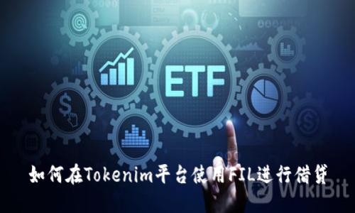 如何在Tokenim平台使用FIL进行借贷