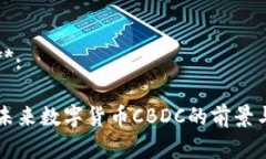 示例**:中国未来数字货币