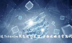 如何通过Tokenim钱包进行充