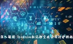 深入解析：Tokenim标记粉尘