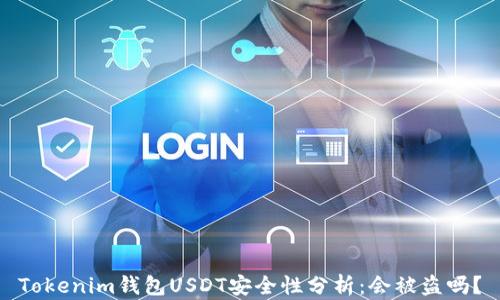 
Tokenim钱包USDT安全性分析：会被盗吗？