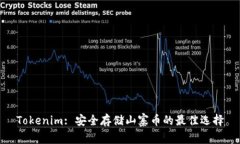 Tokenim: 安全存储山寨币的