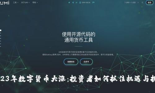 2023年数字货币大涨：投资者如何抓住机遇与挑战