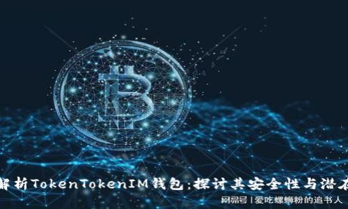 深入解析TokenTokenIM钱包：探讨其安全性与潜在风险