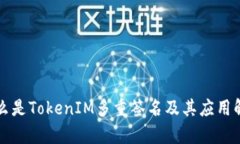 什么是TokenIM多重签名及其