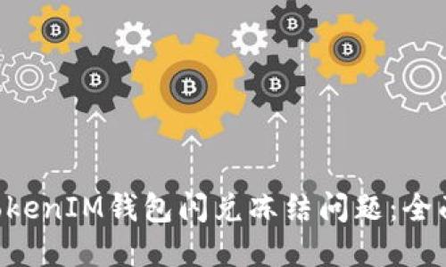 如何解决TokenTokenIM钱包闪兑冻结问题：全面指南与解决方案