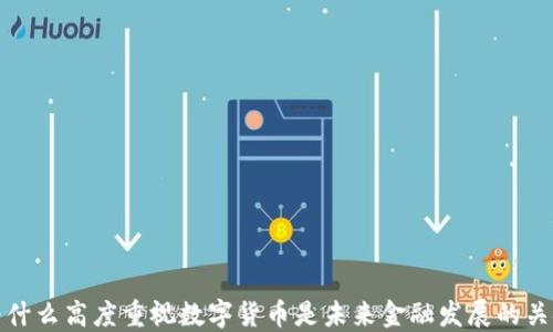 
为什么高度重视数字货币是未来金融发展的关键