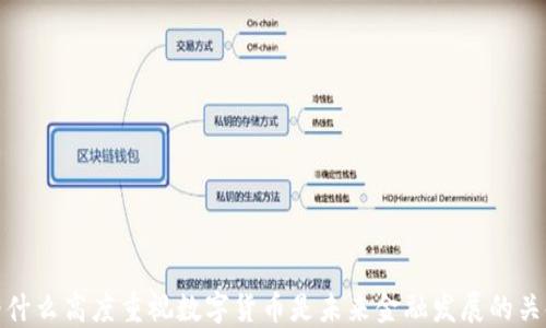 
为什么高度重视数字货币是未来金融发展的关键