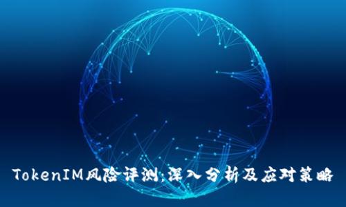 TokenIM风险评测：深入分析及应对策略
