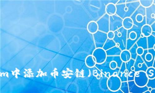 如何在Tokenim中添加币安链（Binance Smart Chain）