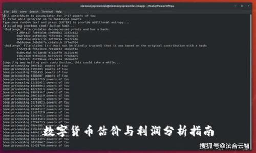 数字货币估价与利润分析指南