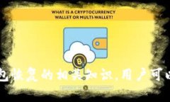   恢复TokenTokenim钱包：资金