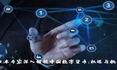 日本专家深入解析中国数
