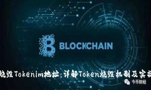 如何烧毁Tokenim地址：详解Token烧毁机制及实操指南