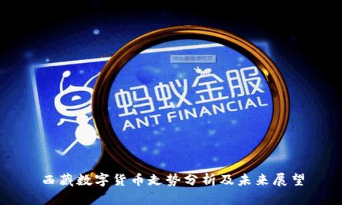 西藏数字货币走势分析及未来展望