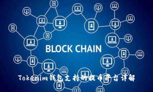 Tokenim钱包支持的提币平台详解