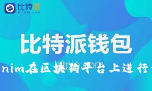 如何使用Tokenim在区块狗平台上进行付款：全面指南