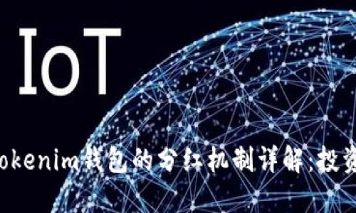 Tokentokenim钱包的分红机制详解：投资者必读