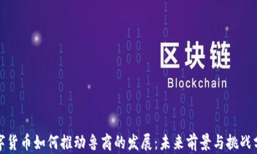 
数字货币如何推动鲁商的发展：未来前景与挑战分析