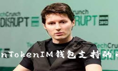 全面解析：TokenTokenIM钱包支持的币种及存储容量