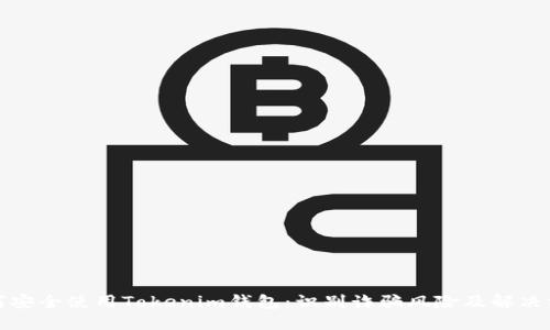 如何安全使用Tokenim钱包：识别诈骗风险及解决方案