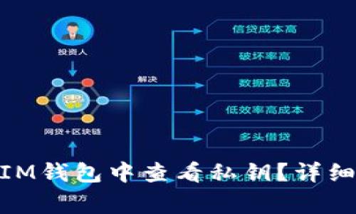  如何在TokenTokenIM钱包中查看私钥？详细指南和常见问题解答