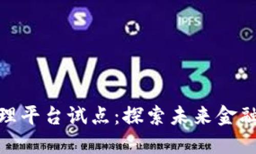 数字货币管理平台试点：探索未来金融的创新之路
