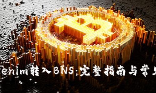 如何将Tokenim转入BNS：完整指南与常见问题解答