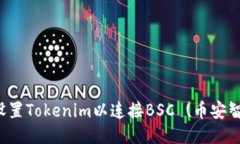 如何设置Tokenim以连接BSC
