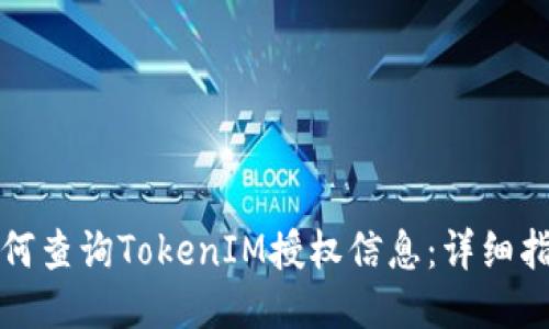 如何查询TokenIM授权信息：详细指南