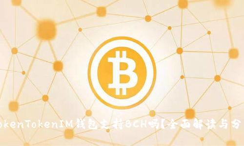 TokenTokenIM钱包支持BCH吗？全面解读与分析